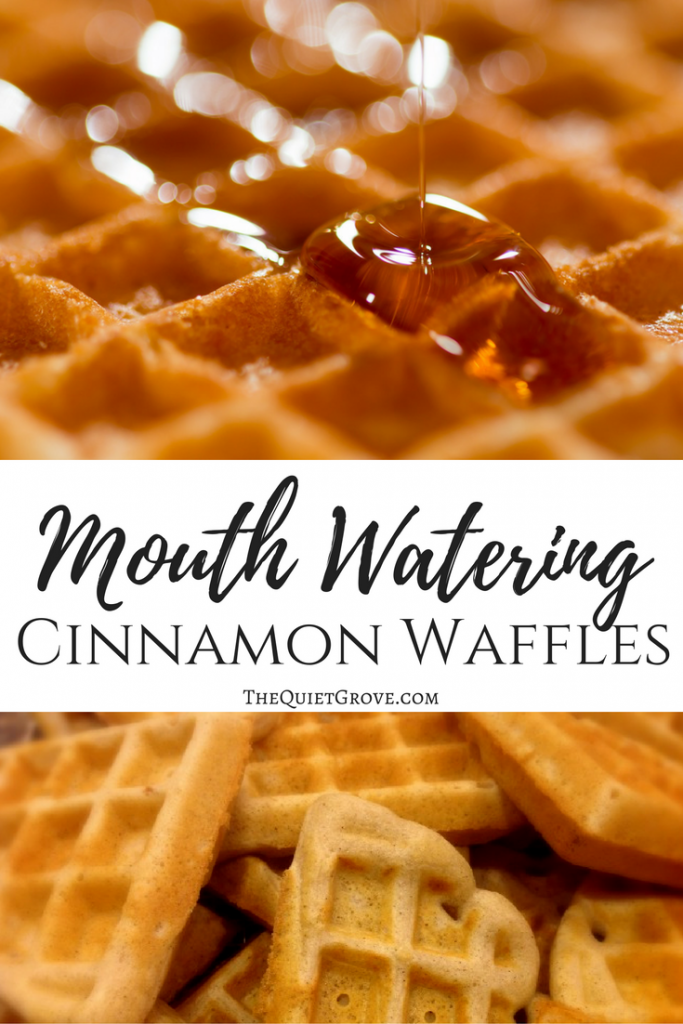 Mouth Watering Cinnamon Waffles