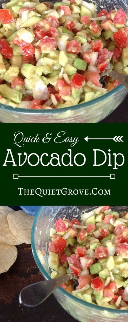 Quick & Easy Avocado Dip