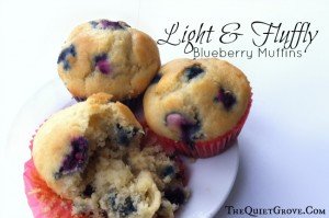 Light & Fluffy Blueberry Muffins