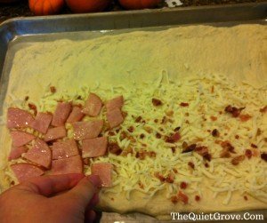 Pizza Rolls: The Perfect Party Dish