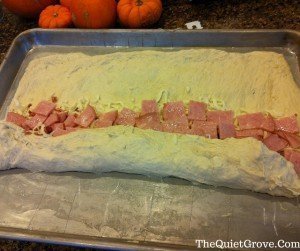 Pizza Rolls: The Perfect Party Dish