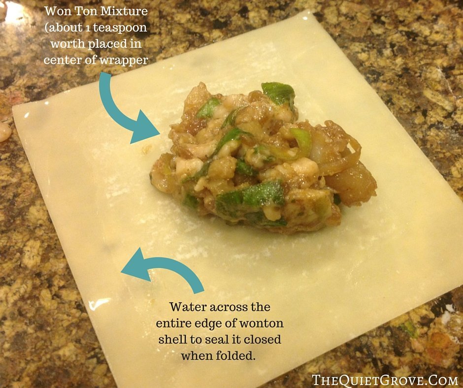 Homemade Pork and Shrimp Won Tons