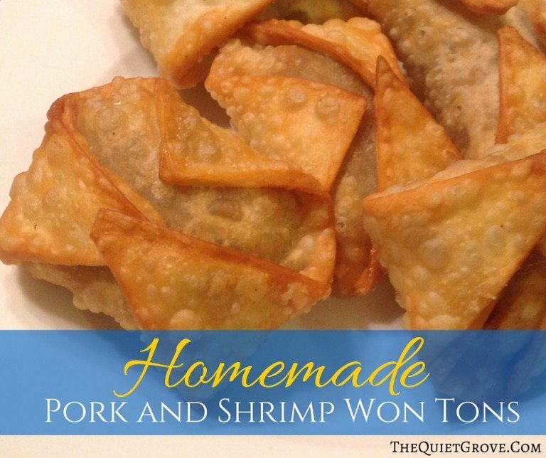Homemade Pork and Shrimp Won Tons