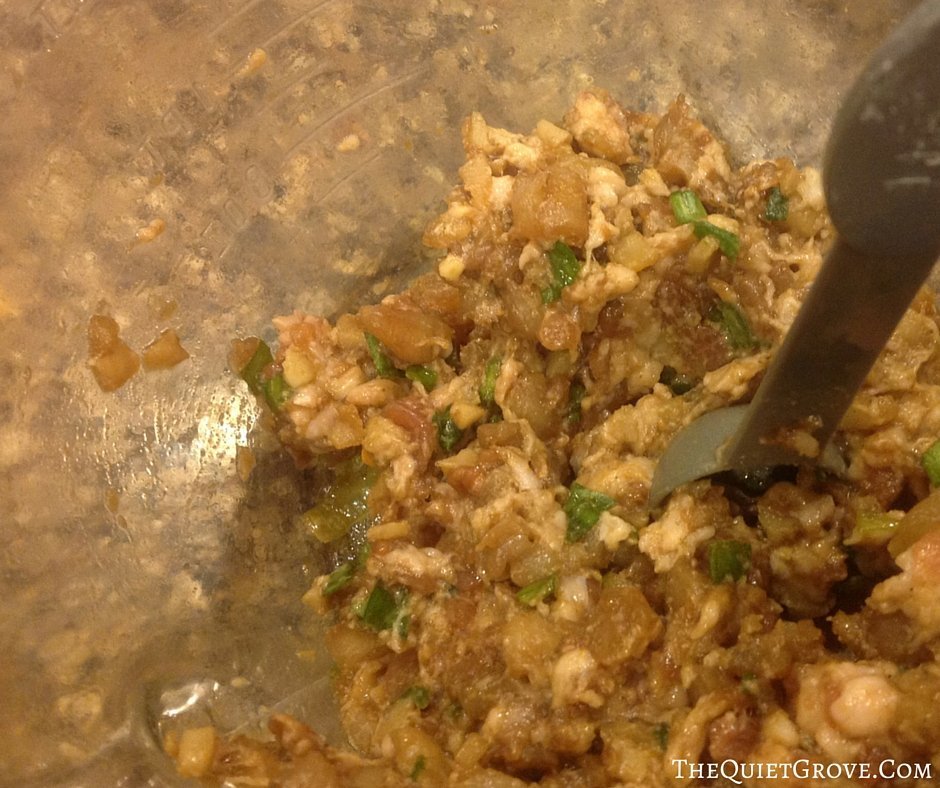 Homemade Pork and Shrimp Won Tons