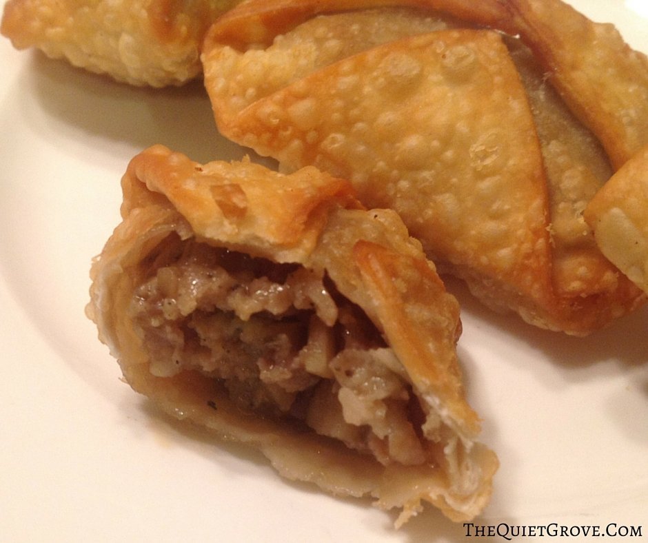 Homemade Pork and Shrimp Won Tons
