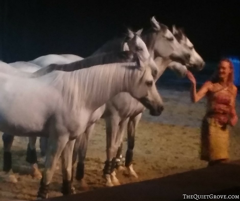 Date Night at Odysseo by Cavalia (Review and Giveaway)