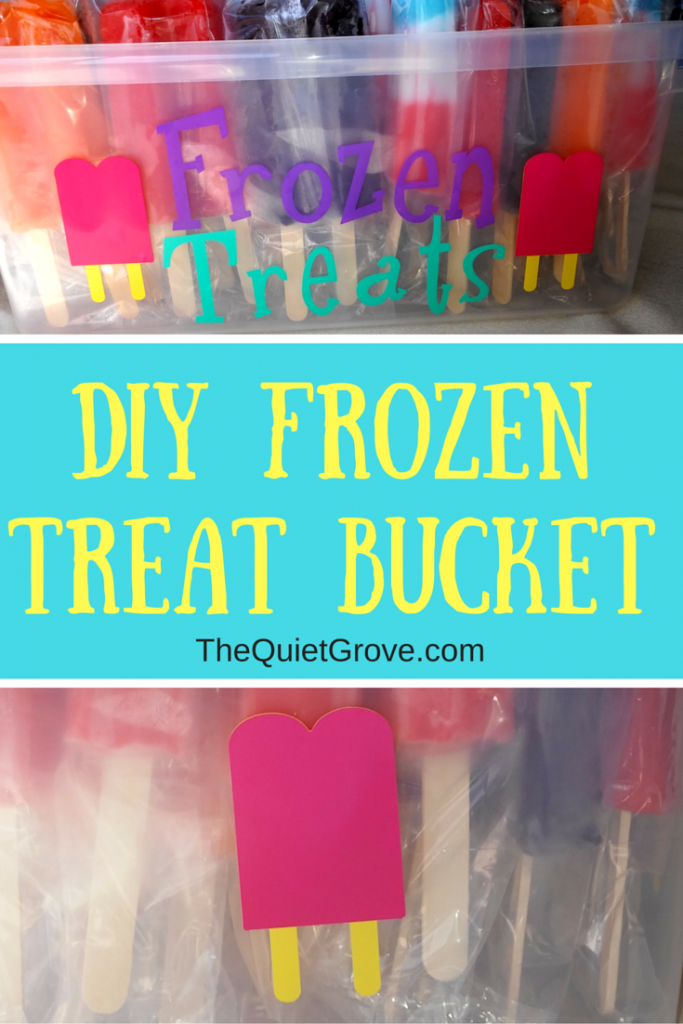 DIY Frozen Treat Bucket