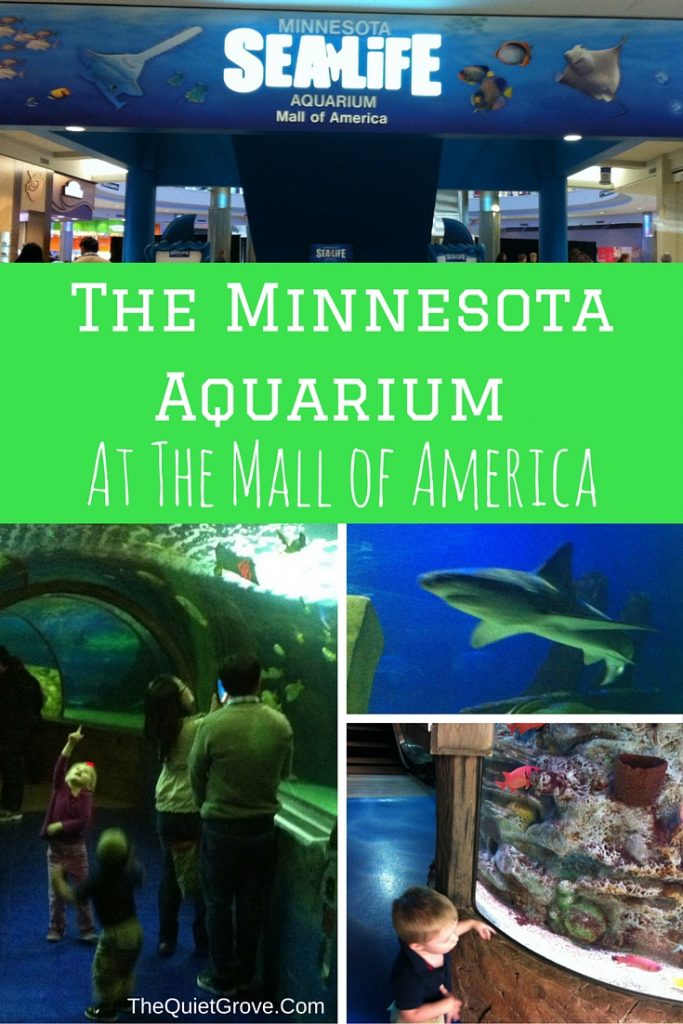 Minnesota Aquarium (3)