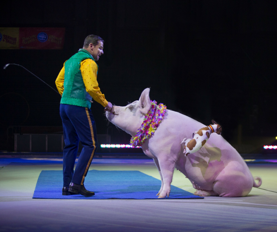 ringling-bros-and-barnum-bailey-circus-arrives-in-slc-5