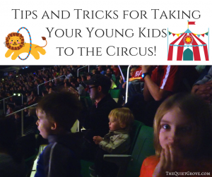 tips-and-tricks-for-taking-your-young-kids-to-the-circus