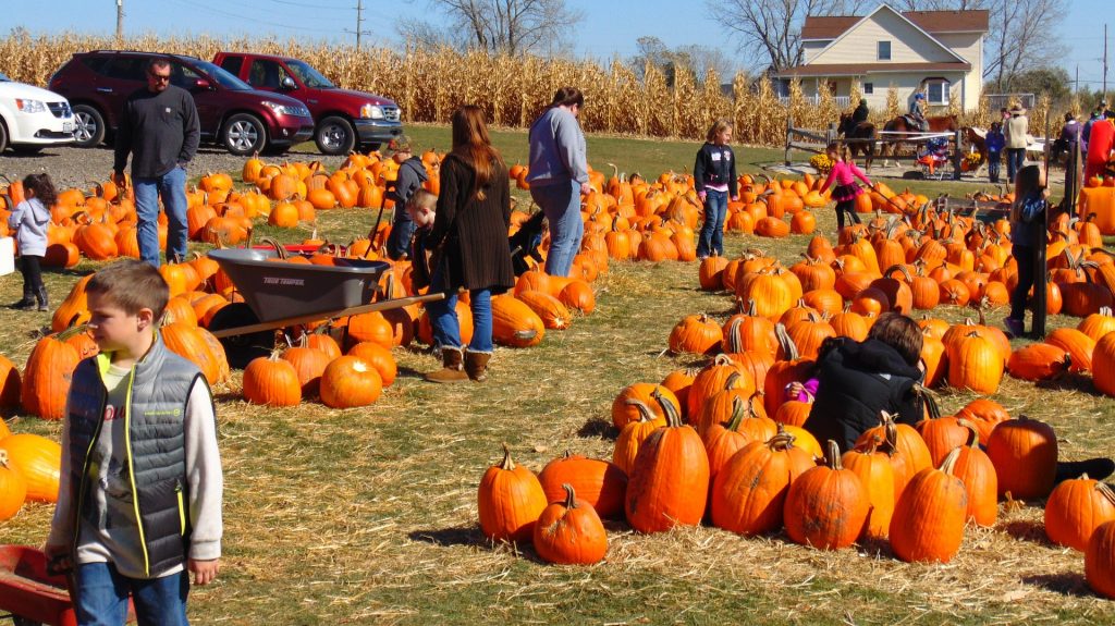 Top 3 Reason Why It’s Time To Cancel Halloween!