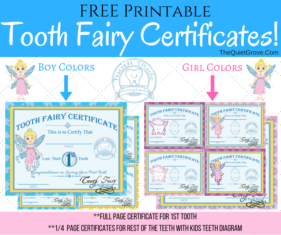 Tooth Fairy Certificate Printable