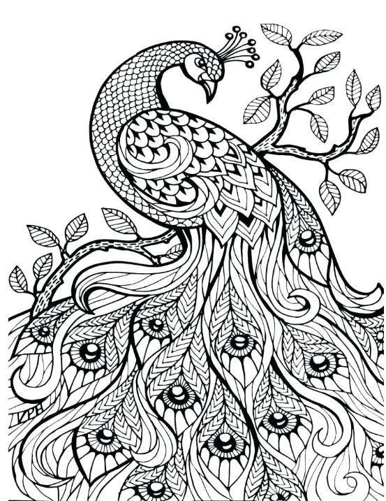 10+ Fun & Free Adult Coloring Pages