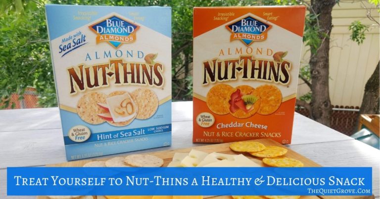 Treat Yourself to Nut-Thins a Healthy & Delicious Snack
