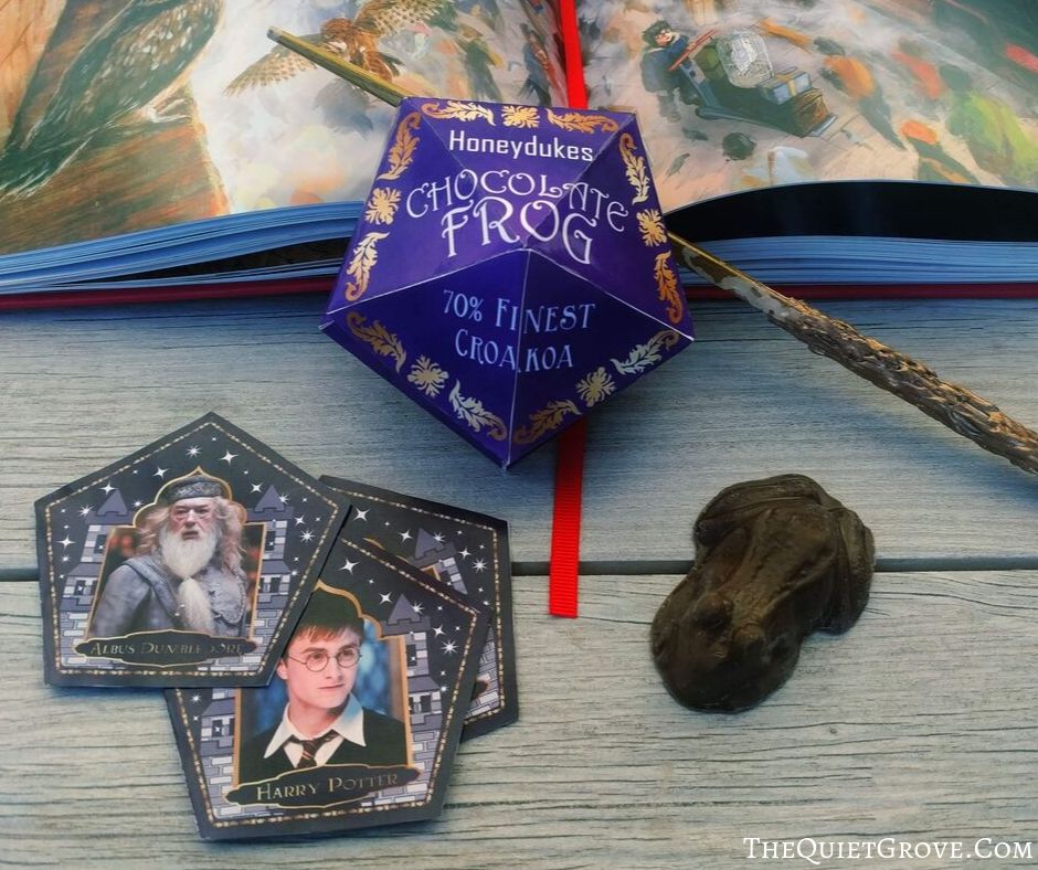 Harry Potter Chocolate Frog Card – Salazar Slytherin Hologram – Warner Bros.