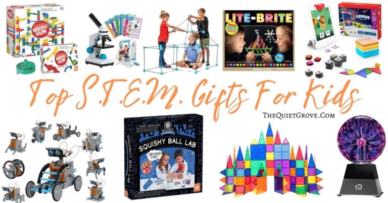 Top STEM Gifts for Kids