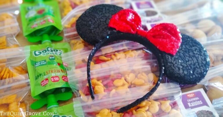 What Snacks Should I Pack For Disney Parks