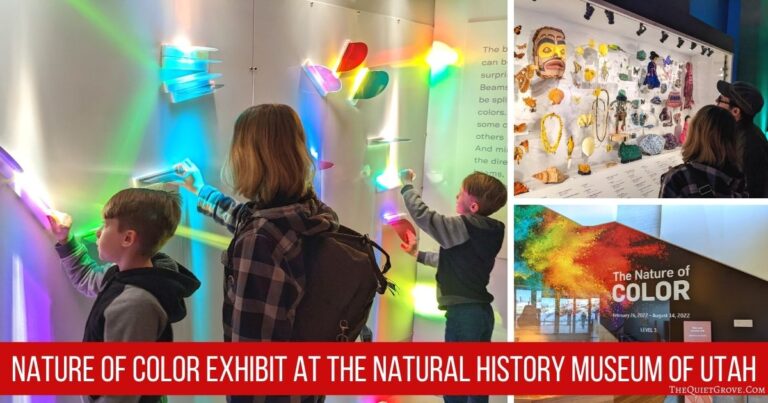 Nature of Color Exhibit at the Natural History Museum of Utah