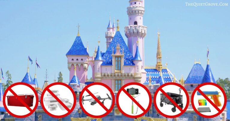 6 Things You Didn't Know are Banned from Disney Parks