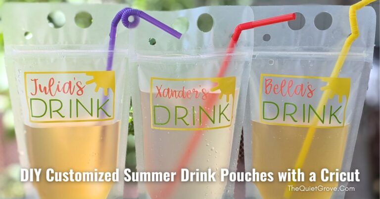 DIY Customized Summer Drink Pouches with a Cricut