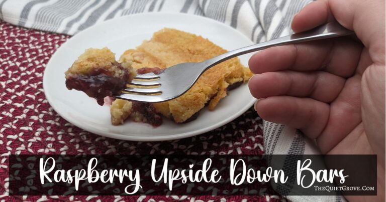 Raspberry Upside Down Bars