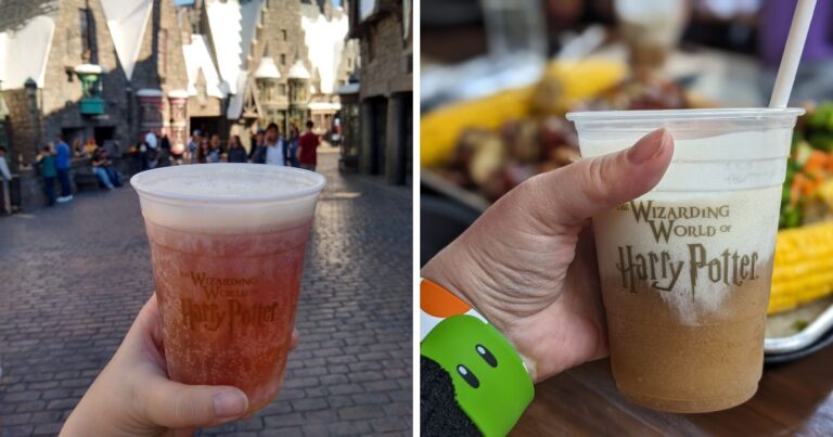 10 Tips for the Ultimate Wizarding World of Harry Potter Experience at ...